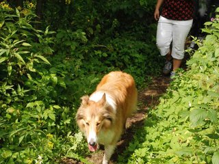 2009-08-15_ntb_4698