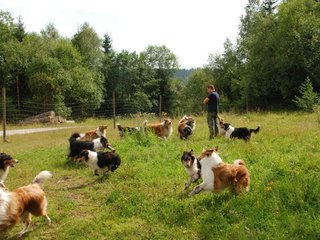 2009-08-15_ntb_4704