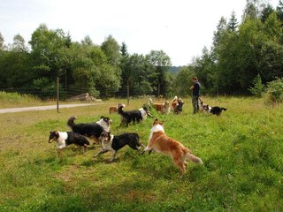 2009-08-15_ntb_4705