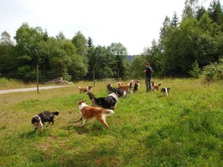 2009-08-15_ntb_4706