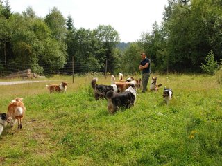 2009-08-15_ntb_4707