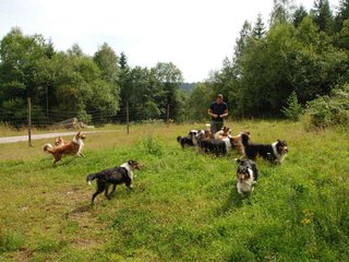 2009-08-15_ntb_4709