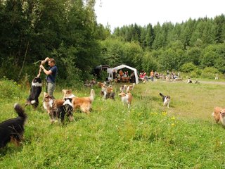 2009-08-15_ntb_4711
