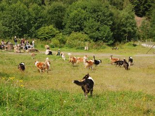 2009-08-15_ntb_4715