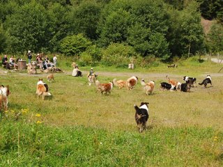 2009-08-15_ntb_4716