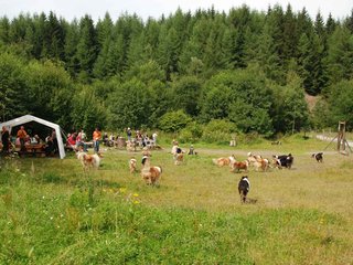 2009-08-15_ntb_4717