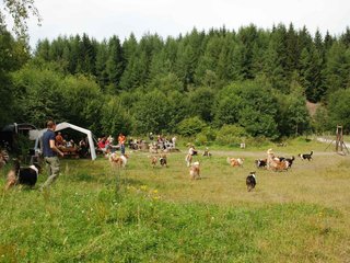 2009-08-15_ntb_4718