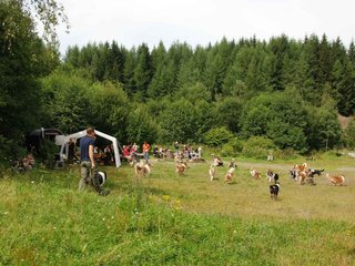 2009-08-15_ntb_4719