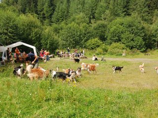 2009-08-15_ntb_4720