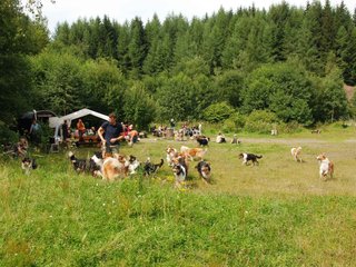 2009-08-15_ntb_4721