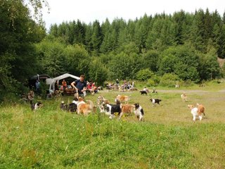 2009-08-15_ntb_4722