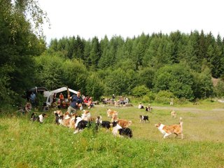 2009-08-15_ntb_4723