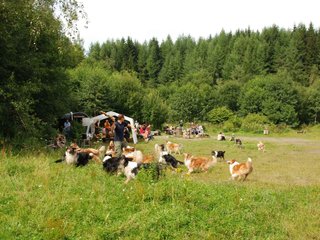 2009-08-15_ntb_4724