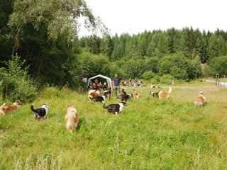 2009-08-15_ntb_4730