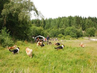 2009-08-15_ntb_4731