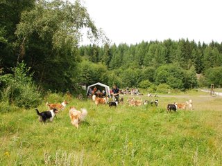 2009-08-15_ntb_4732