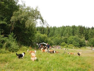 2009-08-15_ntb_4733