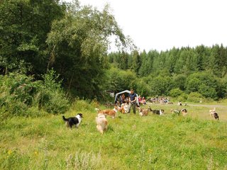 2009-08-15_ntb_4734
