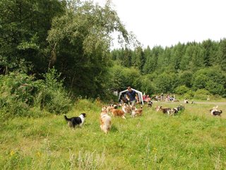 2009-08-15_ntb_4735