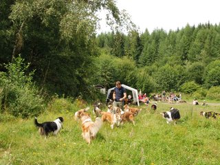 2009-08-15_ntb_4736