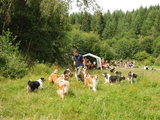 2009-08-15_ntb_4737