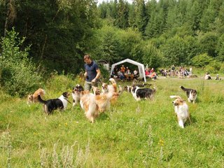 2009-08-15_ntb_4739