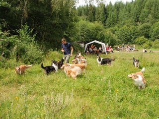 2009-08-15_ntb_4740