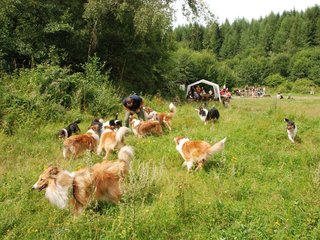 2009-08-15_ntb_4743