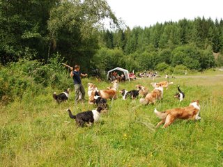 2009-08-15_ntb_4744