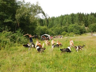 2009-08-15_ntb_4745