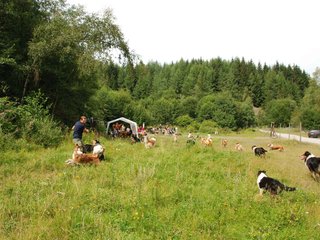 2009-08-15_ntb_4746
