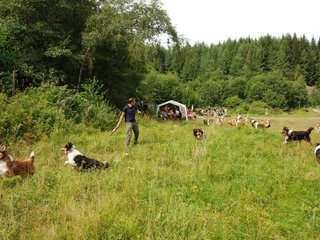 2009-08-15_ntb_4748