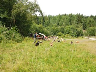 2009-08-15_ntb_4751