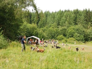 2009-08-15_ntb_4752