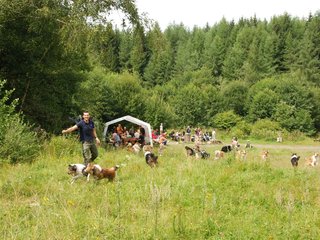 2009-08-15_ntb_4753