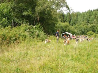 2009-08-15_ntb_4755