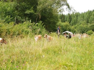 2009-08-15_ntb_4756