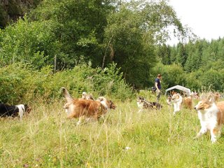 2009-08-15_ntb_4757