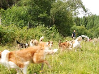 2009-08-15_ntb_4758