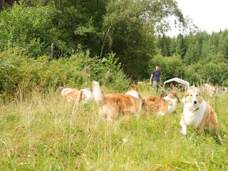 2009-08-15_ntb_4759