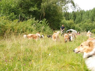 2009-08-15_ntb_4760