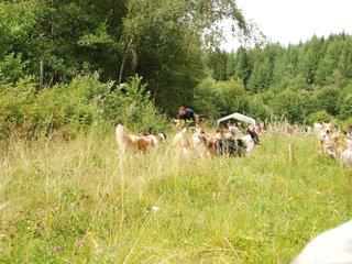 2009-08-15_ntb_4761