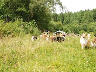 2009-08-15_ntb_4762