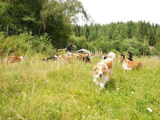 2009-08-15_ntb_4763