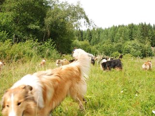 2009-08-15_ntb_4764