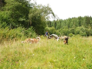 2009-08-15_ntb_4765