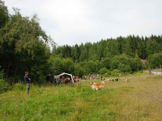 2009-08-15_ntb_4767