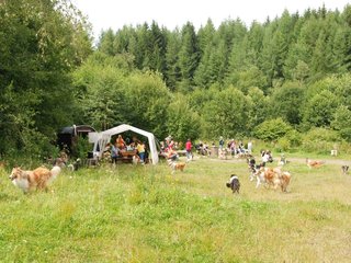 2009-08-15_ntb_4768