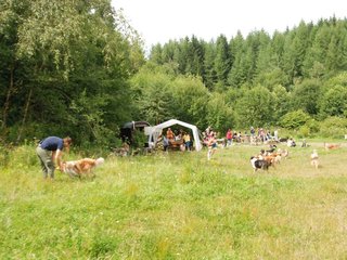 2009-08-15_ntb_4769