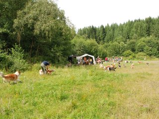 2009-08-15_ntb_4770